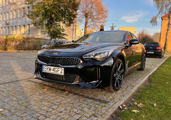 Kia Stinger cena 88800 przebieg: 66500, rok produkcji 2018 z Tuczno małe 56